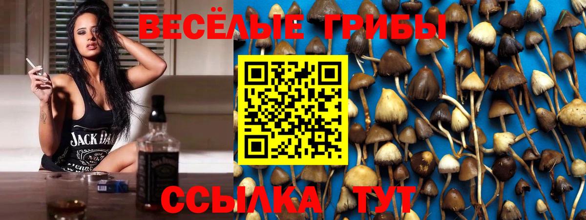 Галлюциногенные грибы Psilocybine cubensis Сафоново